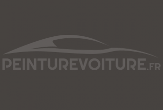 Code peinture Renault 20550 Gris Tornade
