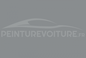 Code peinture Renault 20572 Cendre Tres Clair