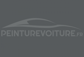Code peinture Renault 20580 Gris Mat