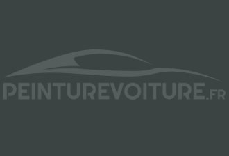 Code peinture Renault 20584 Gris