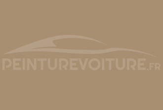 Code peinture General Motors (USA) 20658-DQE Dune Beige (mercury)