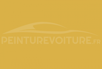 Code peinture Nissan 208 Sunny Yellow