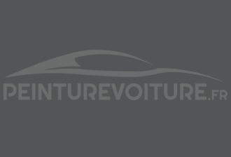 Code peinture Nissan 2083 Grigio Testurizzato (p.urti V.i.)