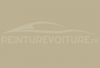 Code peinture Fiat 209 Avorio Delhi
