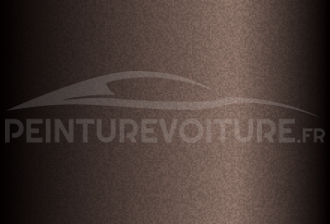 Code peinture Nissan 209 Greyish Brown