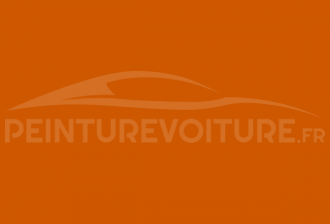 Code peinture Porsche 20C Nepalorange