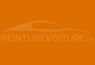 Code peinture Porsche 20E Signalorange