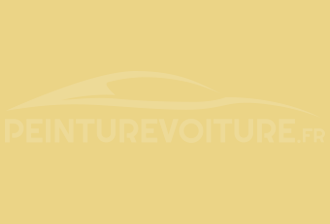 Code peinture Daewoo 20E Yellow