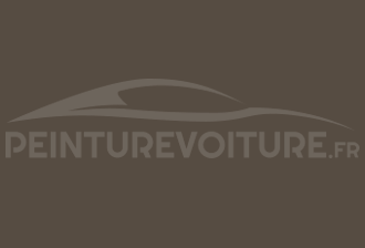 Code peinture Toyota 2104 Brown