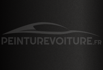 Code peinture Lamborghini 210500 Deep Black