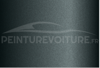 Code peinture Renault 211 Steppe