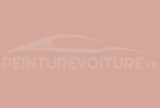 Code peinture General Motors (USA) 21108-DAL Shell Pink (de Soto)