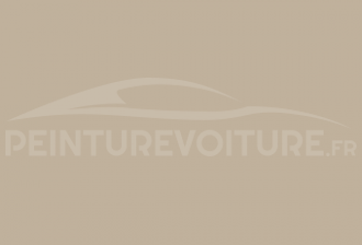 Code peinture General Motors (USA) 21370 Buckskin Beige