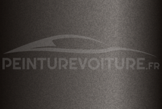 Code peinture Subaru 217 Medium Grey