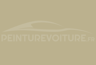 Code peinture Nissan 218 Beige-grey