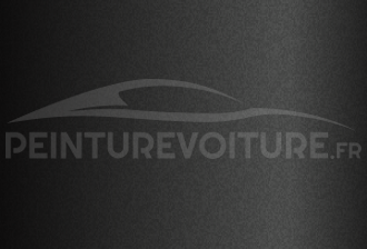 Code peinture Toyota 21BK06 Grey