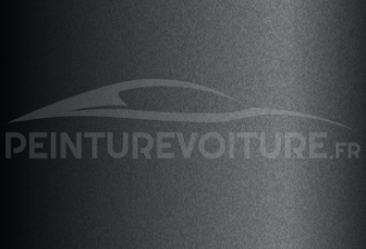Code peinture Toyota 21SV61 Silver