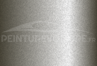 Code peinture Renault 220108 Nuage (d13)