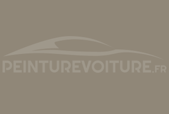 Code peinture Renault 220110 Beige