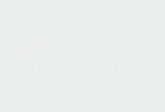Code peinture Renault 220153 Blanc Yeti