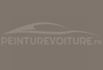 Code peinture Renault 22067 Grege Clair