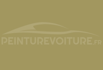Code peinture Nissan 221 Olive Yellow