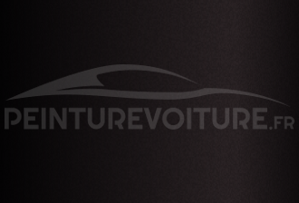 Code peinture Toyota 222 Burning Black