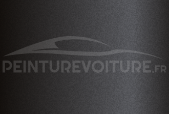 Code peinture Lamborghini 224525 Nero