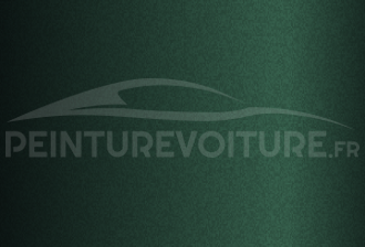 Code peinture Renault 22565 Vert Epicea
