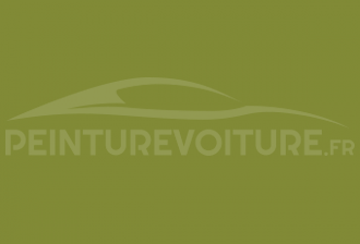 Code peinture Renault 22591 Vert Pomme