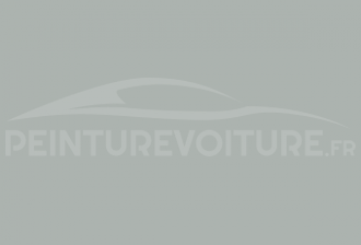 Code peinture Citroen AC 226 Gris Satine