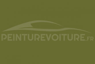 Code peinture Autobianchi 23 NI Verde
