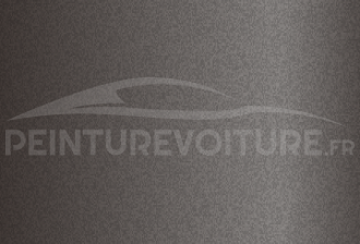 Code peinture Renault 23543 Brun Mat