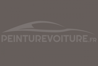 Code peinture Renault 23545 Badiane Clair Mat