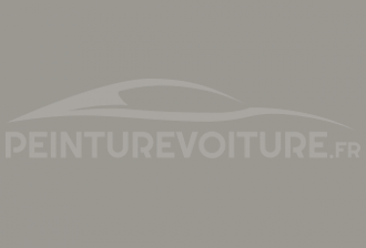 Code peinture Renault 23555 Argile Tres Clair