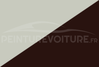 Code peinture Toyota 23N 4l3 + 045