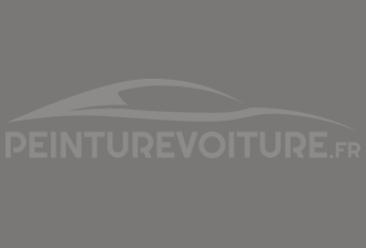 Code peinture Nissan 2445 Grey Matt (int.)
