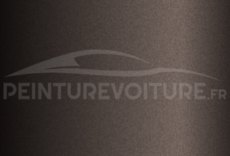 Code peinture Jaguar 2489 Tourmaline Brown