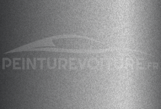 Code peinture Renault 250248 Gris