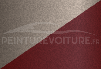 Code peinture Nissan 251 029 + 219