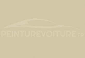 Code peinture Fiat 255 Avorio Ruote