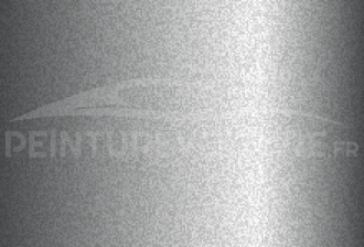 Code peinture Subaru 262 Light Silver