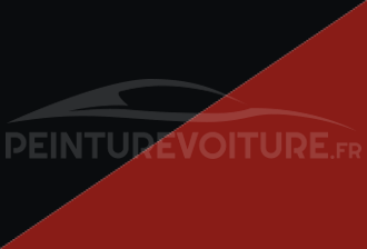 Code peinture Nissan 269 013 + 505