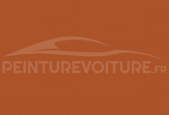 Code peinture Fiat 282 Salmone