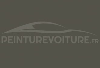 Code peinture Land Rover 289 Nato Green