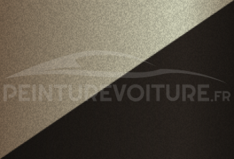 Code peinture Toyota 290 494 + 493