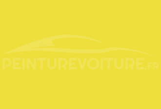 Code peinture Renault-Saviem (Vi) 2902 Vert