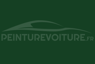 Code peinture Renault-Saviem (Vi) 2905 Vert