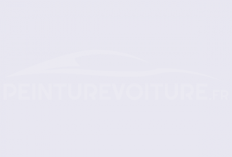 Code peinture Ral Design System 290 92 05 White Violet