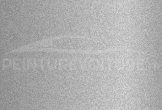 Code peinture Volkswagen 293-8129 Royal Silver